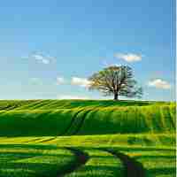 桂﻿阳﻿县‍职‍业﻿技​术﻿教‌育‌学​校‍